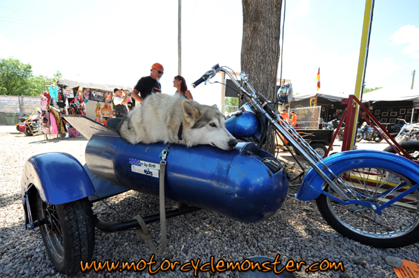 american-by-birth-custom-sidecar.jpg